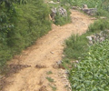 2004-2007ũ�������Ļ������߽���ʵ������ֳɹ�չʾ