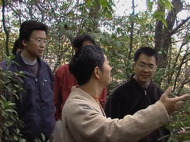 蒋庆先生为游学人员介绍阳明洞附近的景物