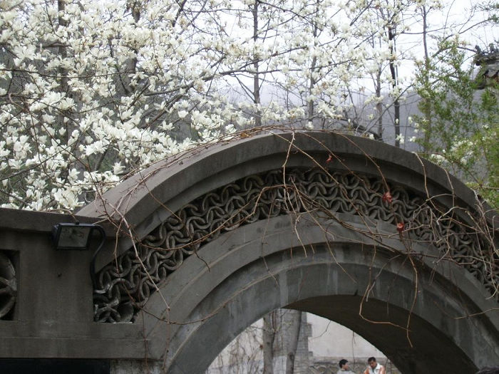 潭拓寺景观