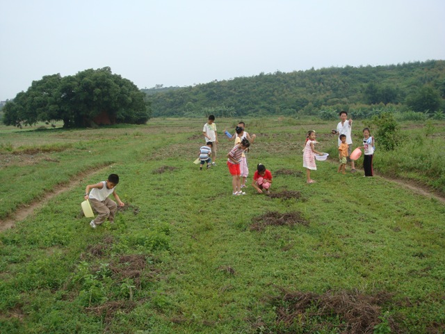 乡村体验（2009.7）