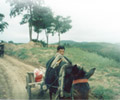 ѧ��ũ�幤����2004����ũ�������Ļ������߽���ʵ���ר��չʾ
